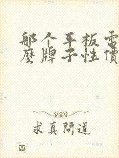 那个平板电脑什么牌子性价比高又好用