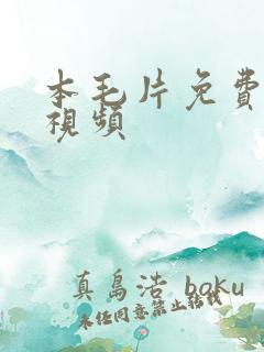 本毛片免费观看视频