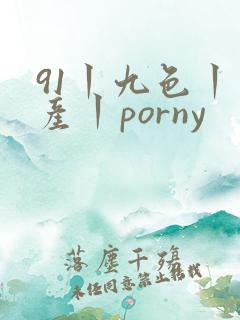 91丨九色丨国产丨porny