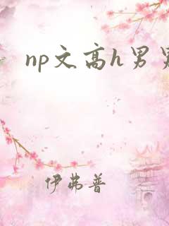np文高h男男