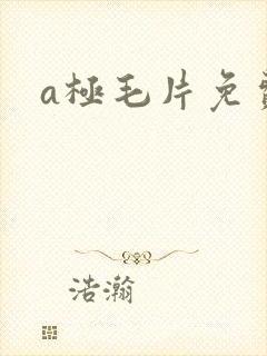 a极毛片免费看