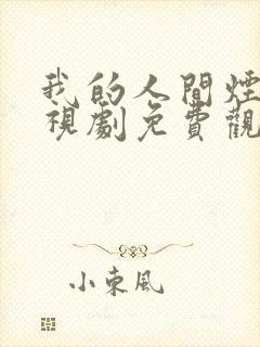 我的人间烟火电视剧免费观