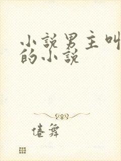 小说男主叫林然的小说