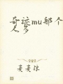 奇迹mu那个区人多