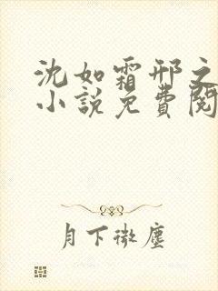 沈如霜邢之衍的小说免费阅读