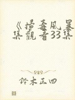 《扫毒风暴》全集观看33集