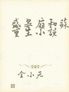 盛晏庭和苏锦的重生小说