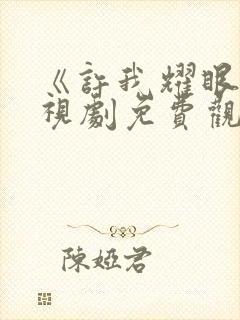 《许我耀眼》电视剧免费观看全集