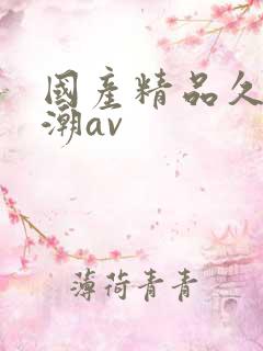 国产精品久久高潮av