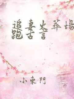 追妻火葬场带球跑古言