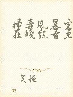 扫毒风暴完整版在线观看免费