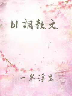bl 调教文