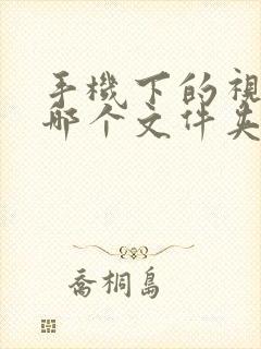 手机下的视频在哪个文件夹