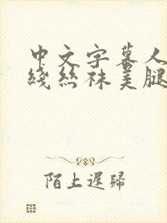 中文字幕人妻在线丝袜美腿