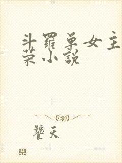 斗罗单女主宁荣荣小说