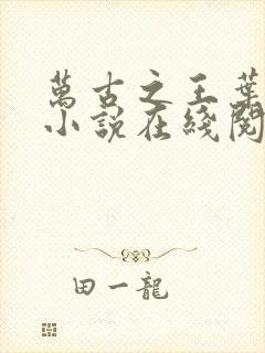 万古之王叶无双小说在线阅读