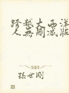 跨越大西洋的恋人无删减版电视剧