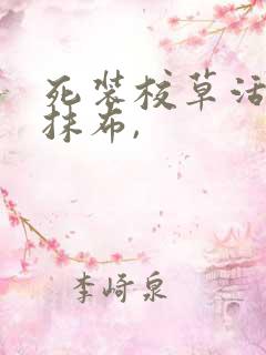 死装校草活该被抹布,