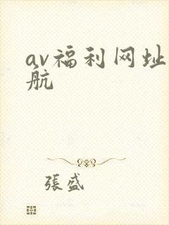 av福利网址导航