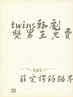 twins韩剧双男主免费观看