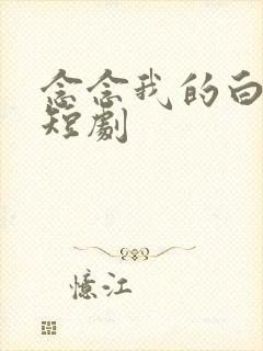 念念我的白月光短剧