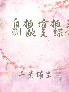 自拍 偷拍 亚洲 欧美 综合