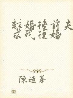 离婚后前夫哭着求我复婚