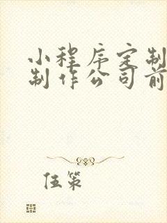 小程序定制开发制作公司前十名