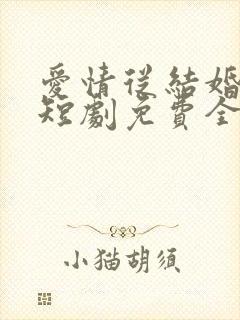 爱情从结婚开始短剧免费全集免费播放