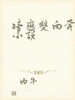 暗恋双向奔赴的小说