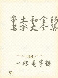 带土和金的男孩名字大全集