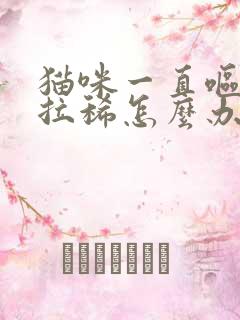 猫咪一直呕吐还拉稀怎么办