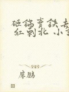 砸锅卖铁去上学 红刺北 小说