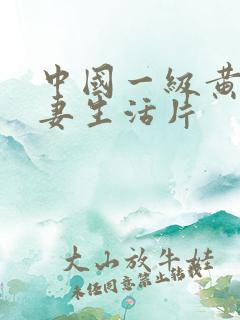 中国一级黄色夫妻生活片