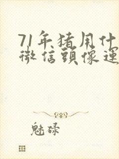 71年猪用什么微信头像运气好