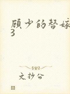 顾少的替嫁甜妻3