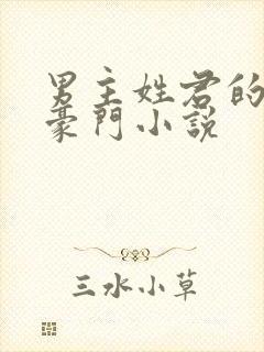 男主姓君的现代豪门小说