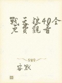 战天狼40全集免费观看