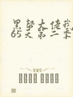 黑帮大佬我的365天第二季电视剧