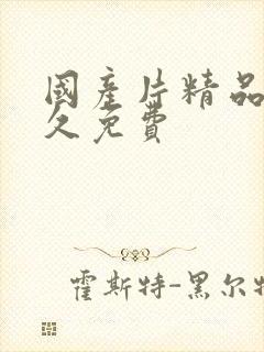 国产片精品久久久免费