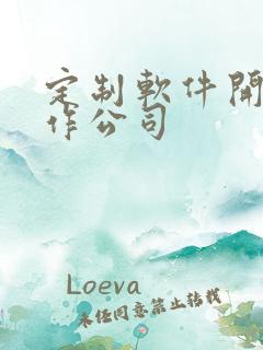 定制软件开发制作公司