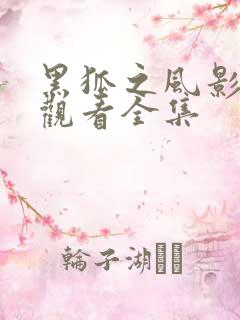 黑狐之风影免费观看全集