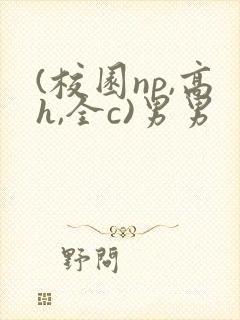 (校园np,高h,全c)男男