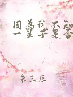 因为我不知道下一辈子是否遇见你