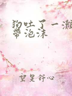 狗吐了一滩黄水带泡沫