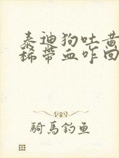 泰迪狗吐黄水拉稀带血咋回事