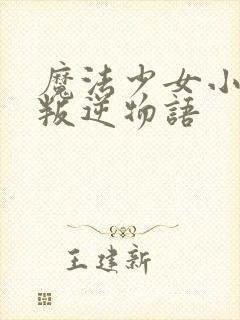 魔法少女小圆之叛逆物语