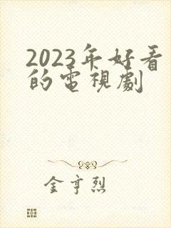 2023年好看的电视剧