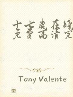 十七岁在线观看免费高清完整版电视剧