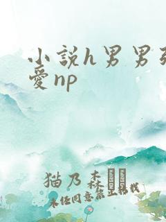 小说h男男强制爱np